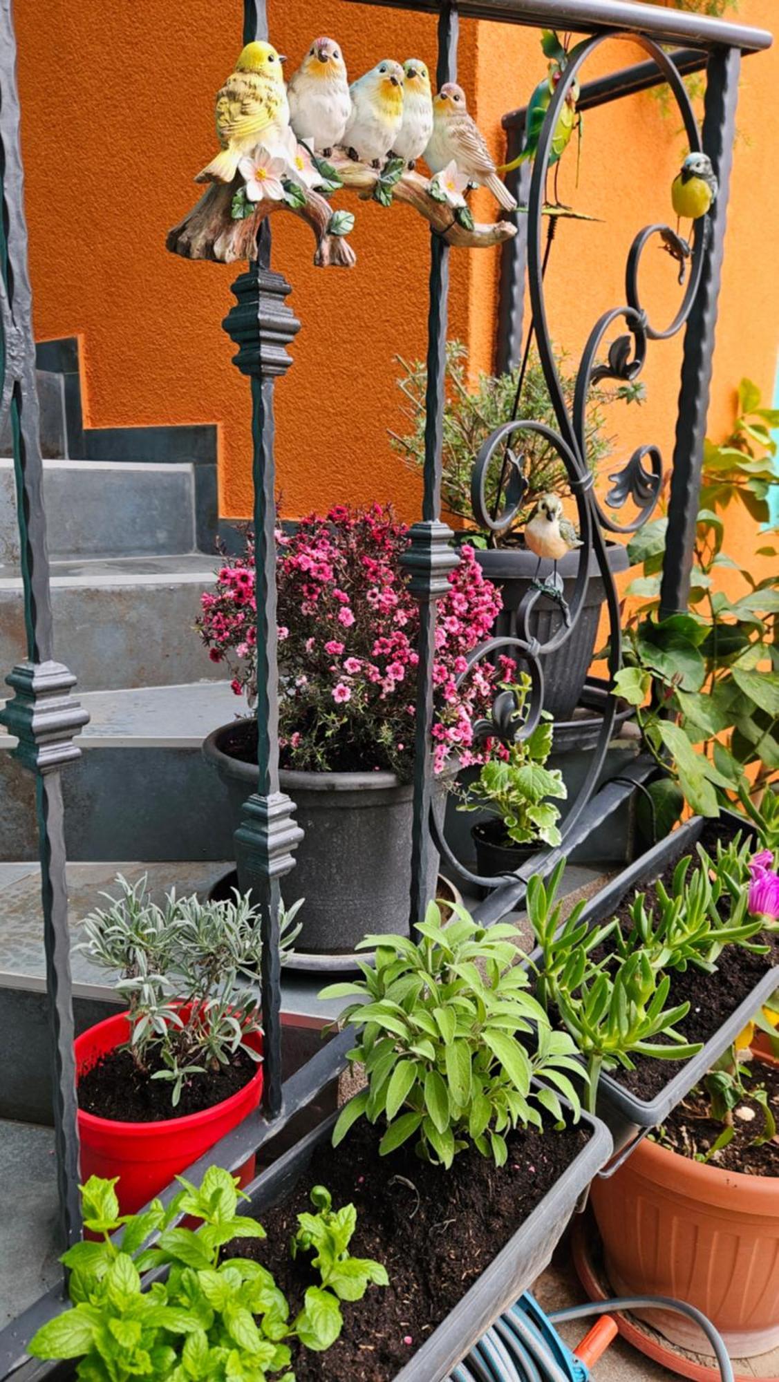 Mexicana Apartment Pink Zadar Exterior photo